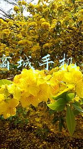 京东商城手机苹果4