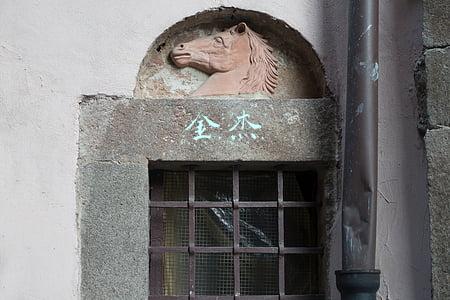 金杰