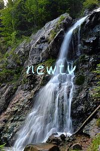 newtv