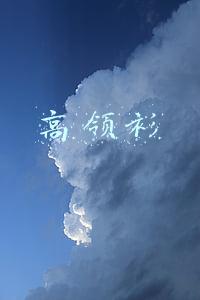 高领衫