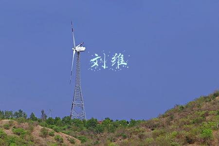 刘维