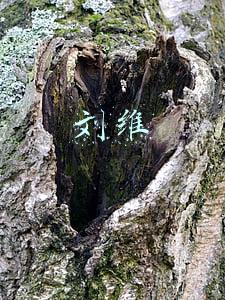 刘维