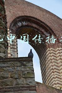 文化中国传播集团