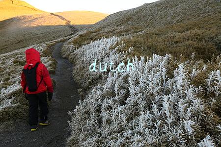 dutch什么意思(“French window”不是“法国的窗户”)