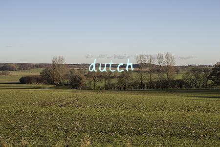 dutch