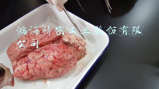 鸿海精密工业股份有限公司