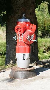谢锐