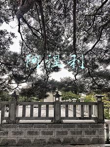 阿涅利