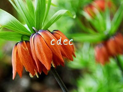 cdec