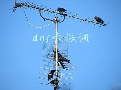 dnf卡深渊