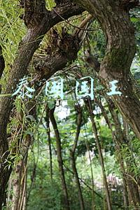 泰国国王最新消息(泰国国王主持春耕节典礼 祝祷风调雨顺五谷丰登)