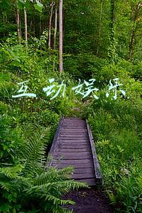 互动娱乐