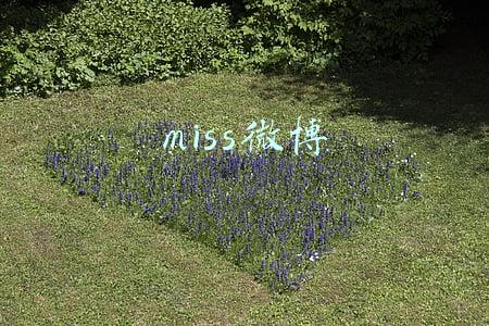 miss微博
