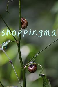 shoppingmall