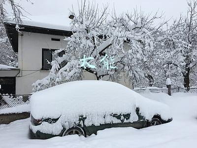 太能