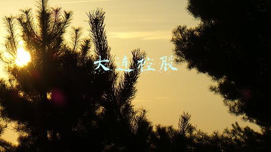 大连控股