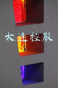 大连控股