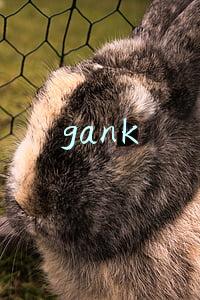 gank