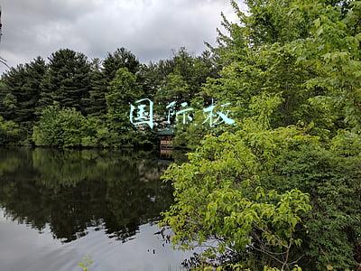国际板