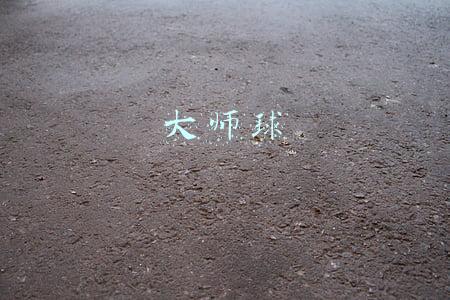 大师球