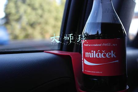 大师球