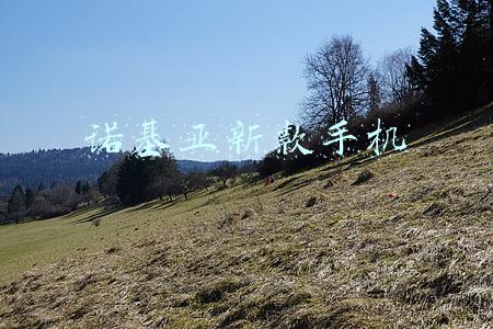诺基亚新款手机