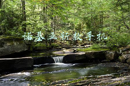 诺基亚新款手机