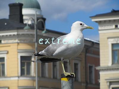 extreme
