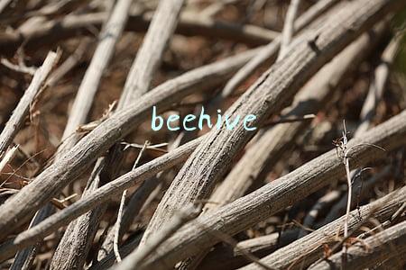 beehive