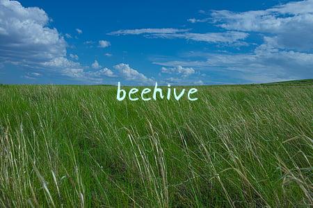 beehive