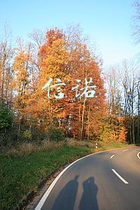 信诺