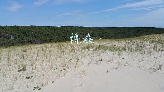 博泰