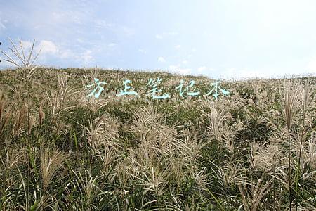 方正笔记本