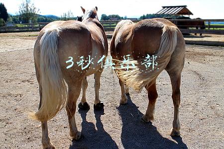 3秒俱乐部