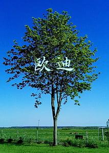 欧迪