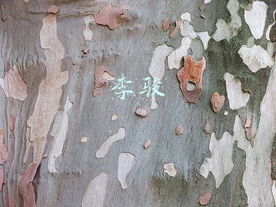 李骏
