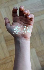 李骏