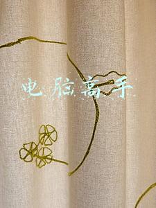 电脑高手