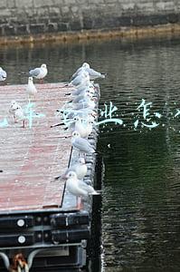 小吃车创业怎么样