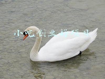 小吃创业好项目