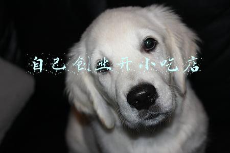 自己创业开小吃店