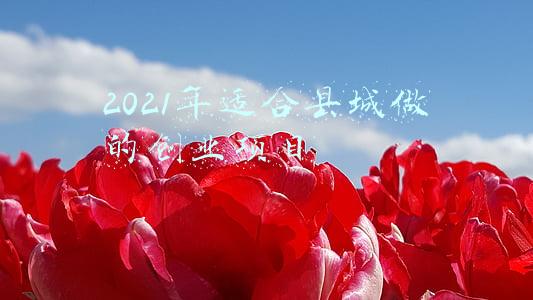 2021年适合县城做的创业项目