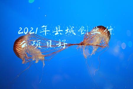 2021年县城创业什么项目好
