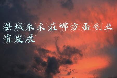 县城未来在哪方面创业有发展