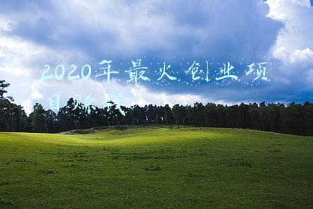 2020年最火创业项目赚钱
