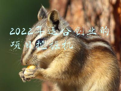 2022年适合创业的项目挖掘机