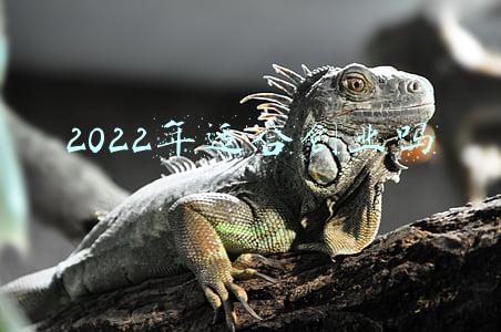 2022年适合创业吗