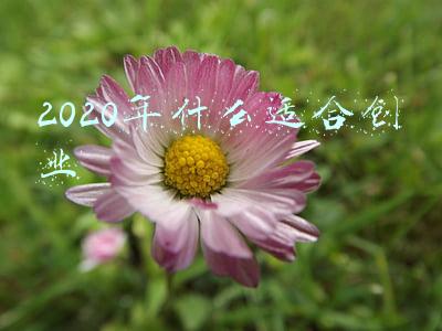 2020年什么适合创业