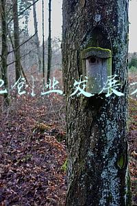 2022创业发展方向
