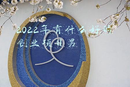 2022年有什么好的创业项目男